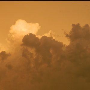 Meet your Posher, Kennedy